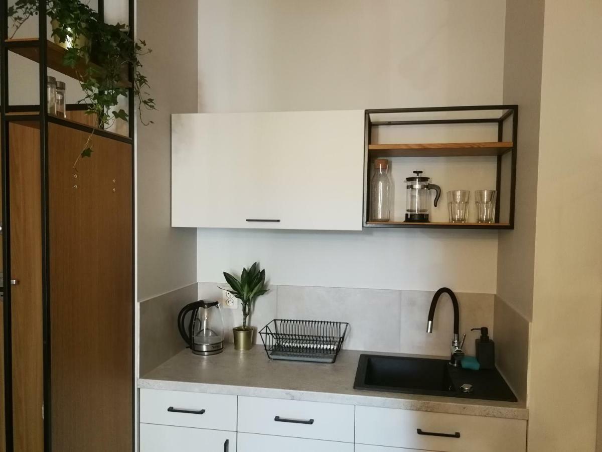 Nova Apartments - Rakowicka Krakow Bagian luar foto